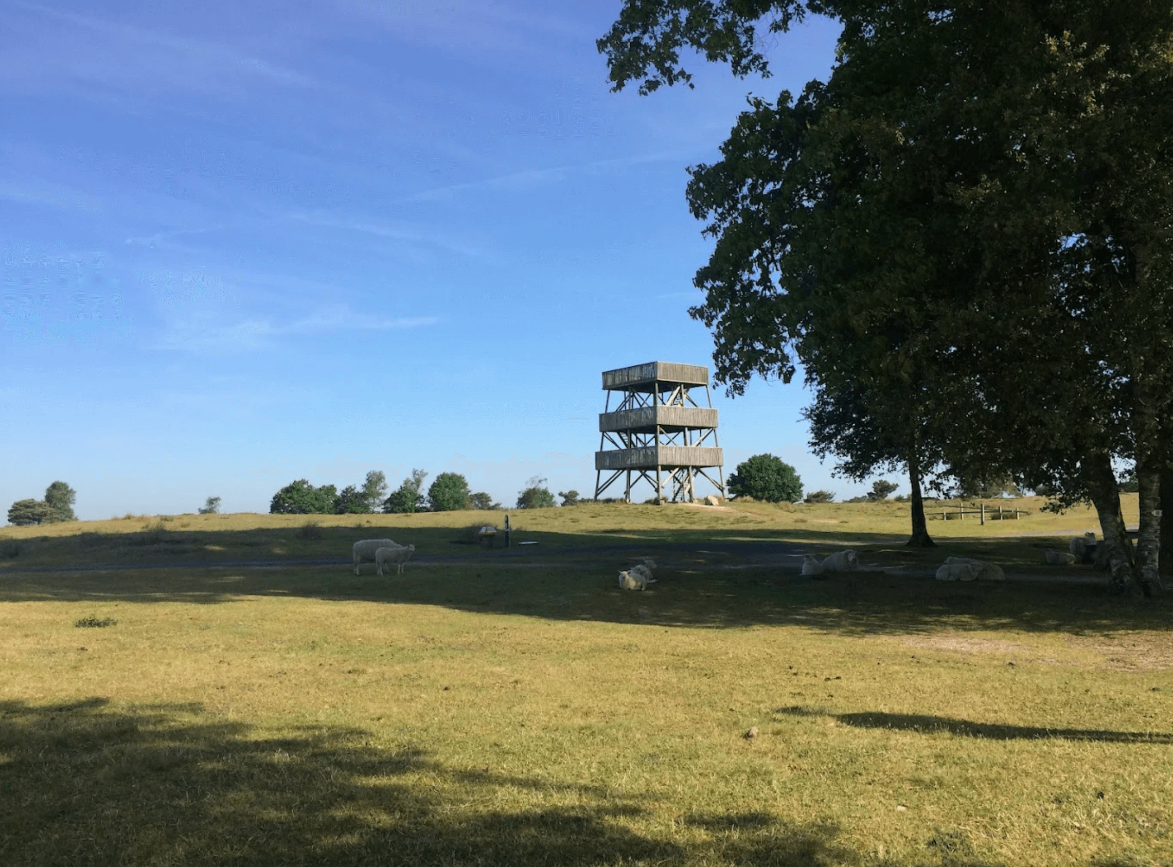 Drents friese wold losoopgebieden welkoop